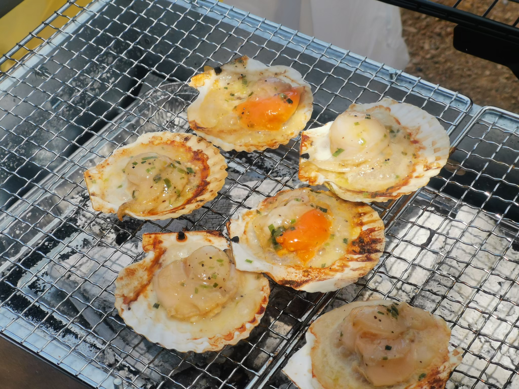 LINE_ALBUM_20250505_250630_170